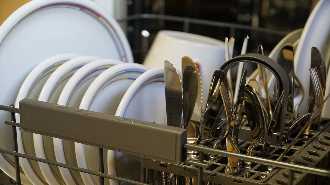 Newly delivered dishwasher smells like fish?