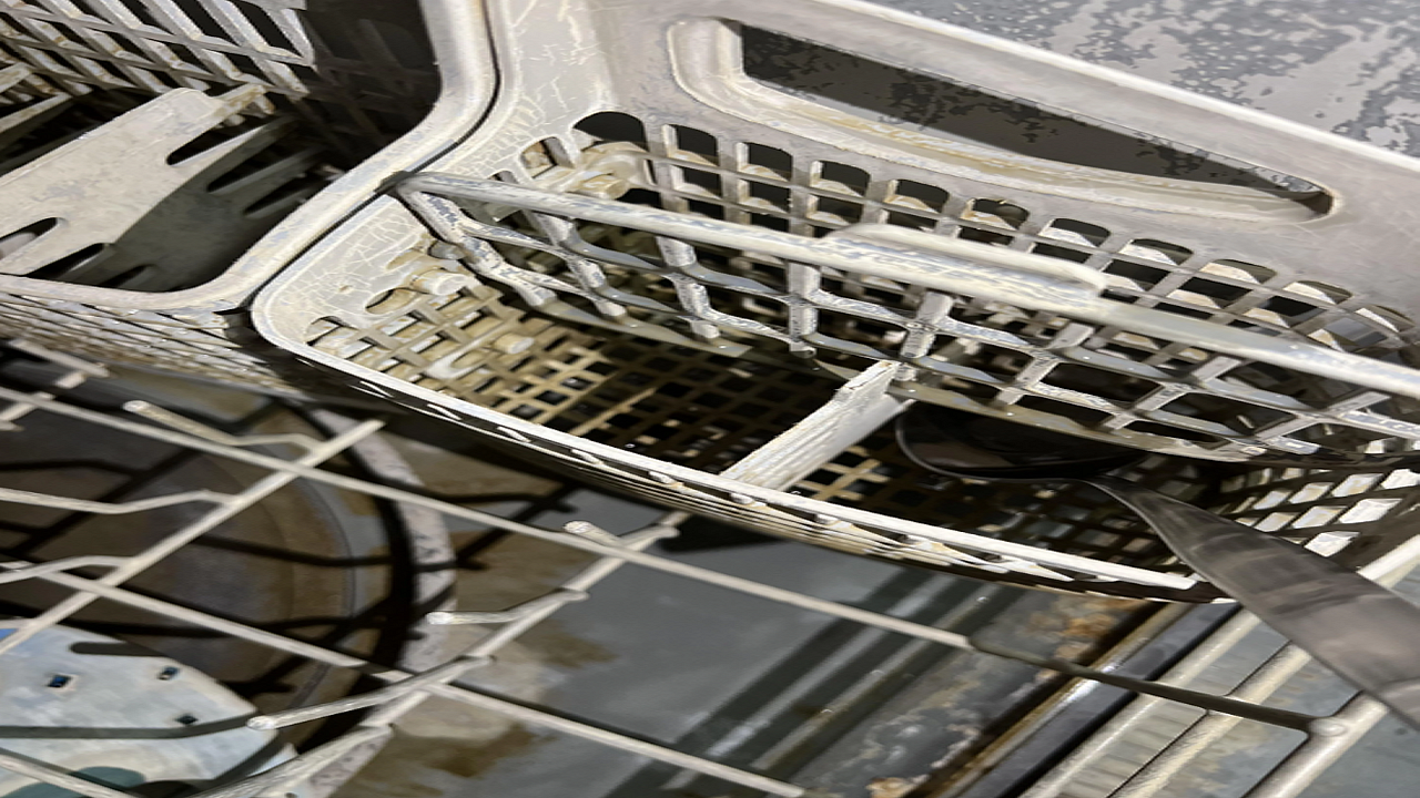 What is this in the Dishwasher?