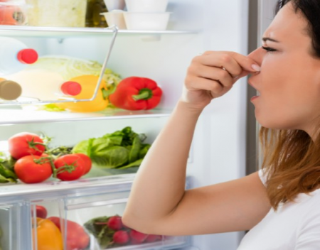 Why Does My Refrigerator Smell Funny?