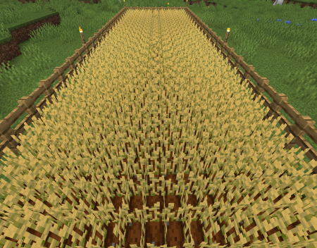 How to Farm and Harvest Crops Properly