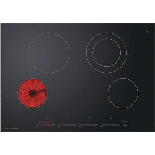 Fisher Range Model CE304DTB1