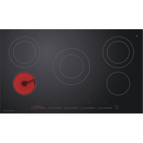 Fisher Range Model CE365DTB1