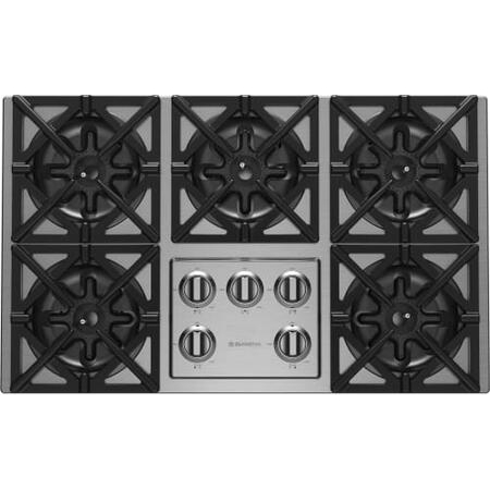 BlueStar Range Model RBCT365BSSV2L